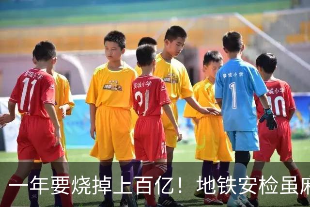 一年要烧掉上百亿!地铁安检虽麻烦,但是却养活几十万人就业