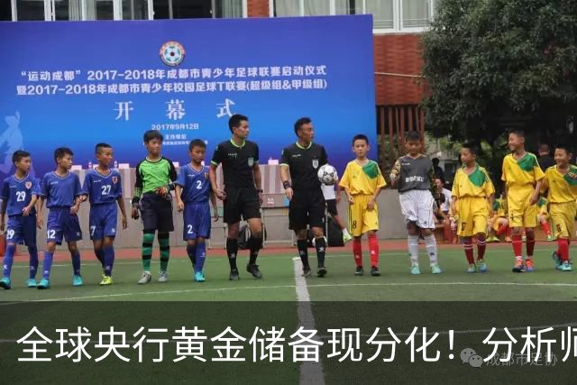 全球央行黄金储备现分化！分析师：影响有限，不改金价长期上涨趋势